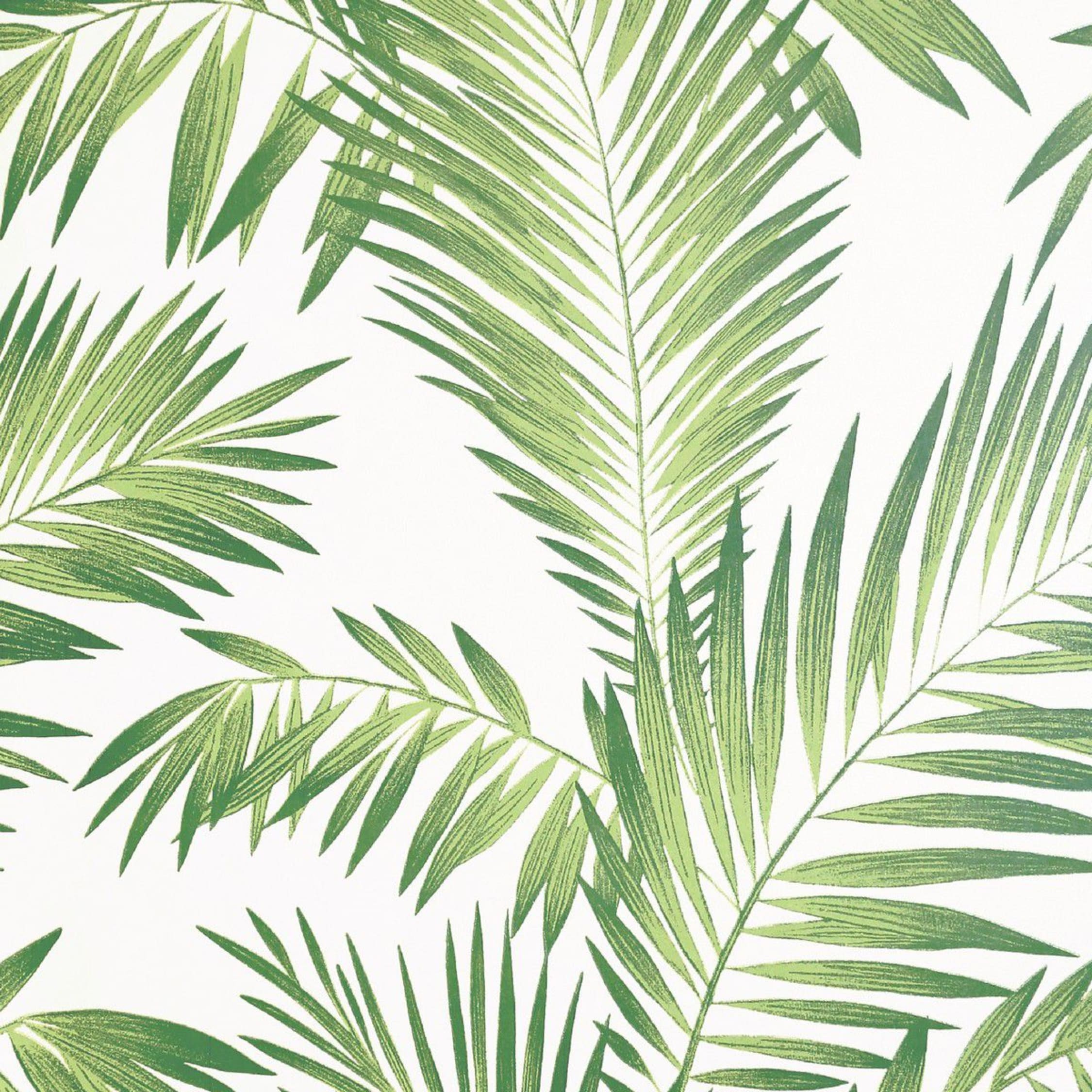 Palm Leaf Wallpapers