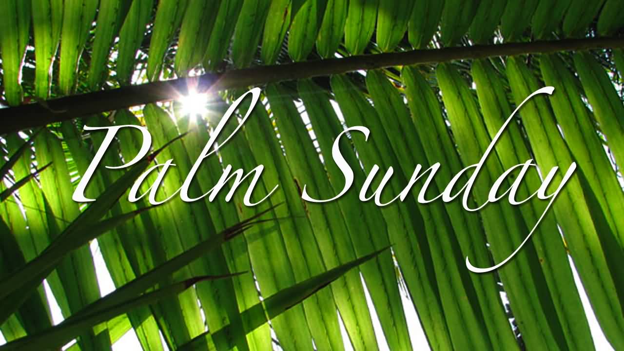 Palm Sunday Wallpapers