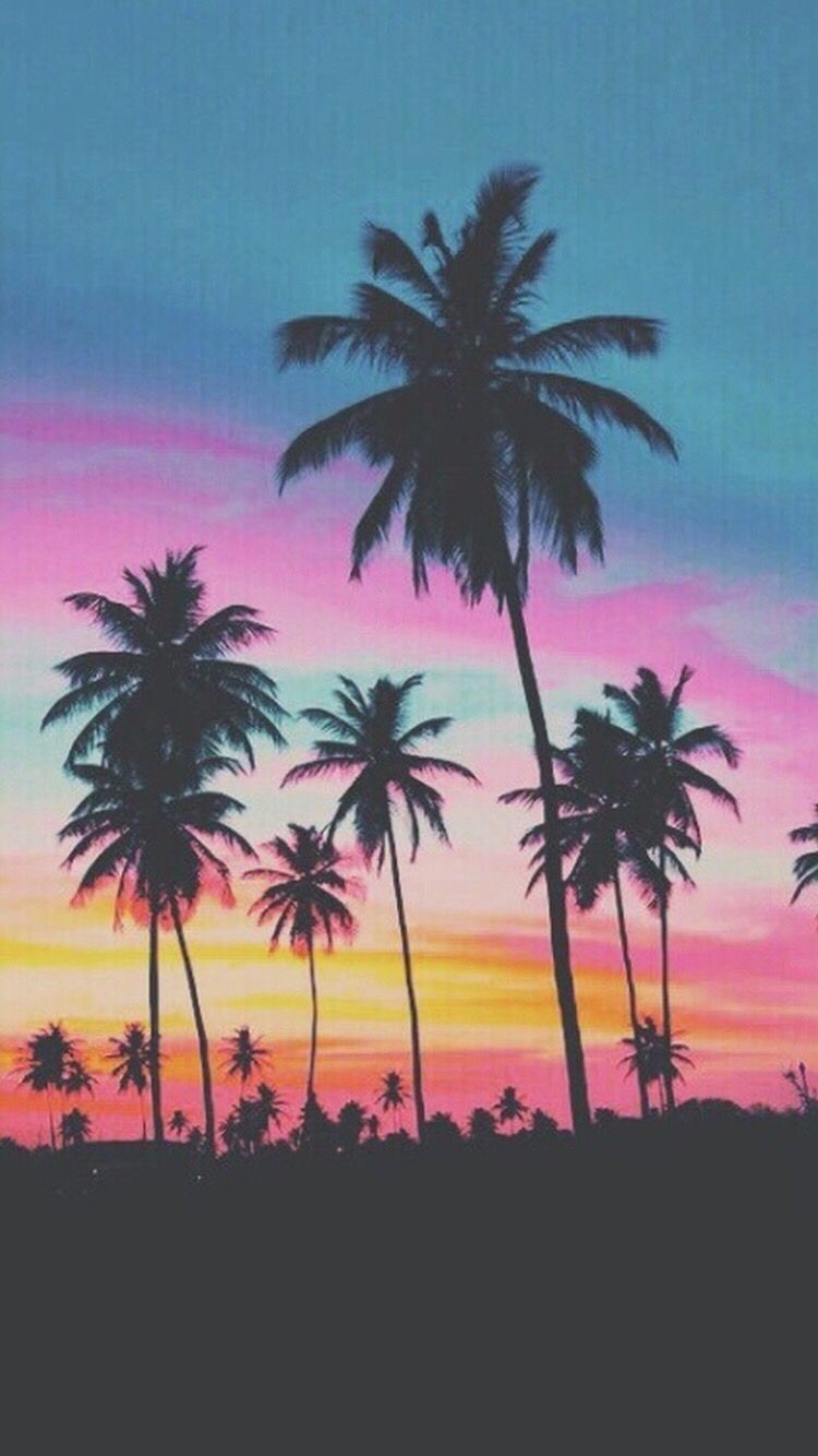 Palm Tree Iphone Hd Wallpapers