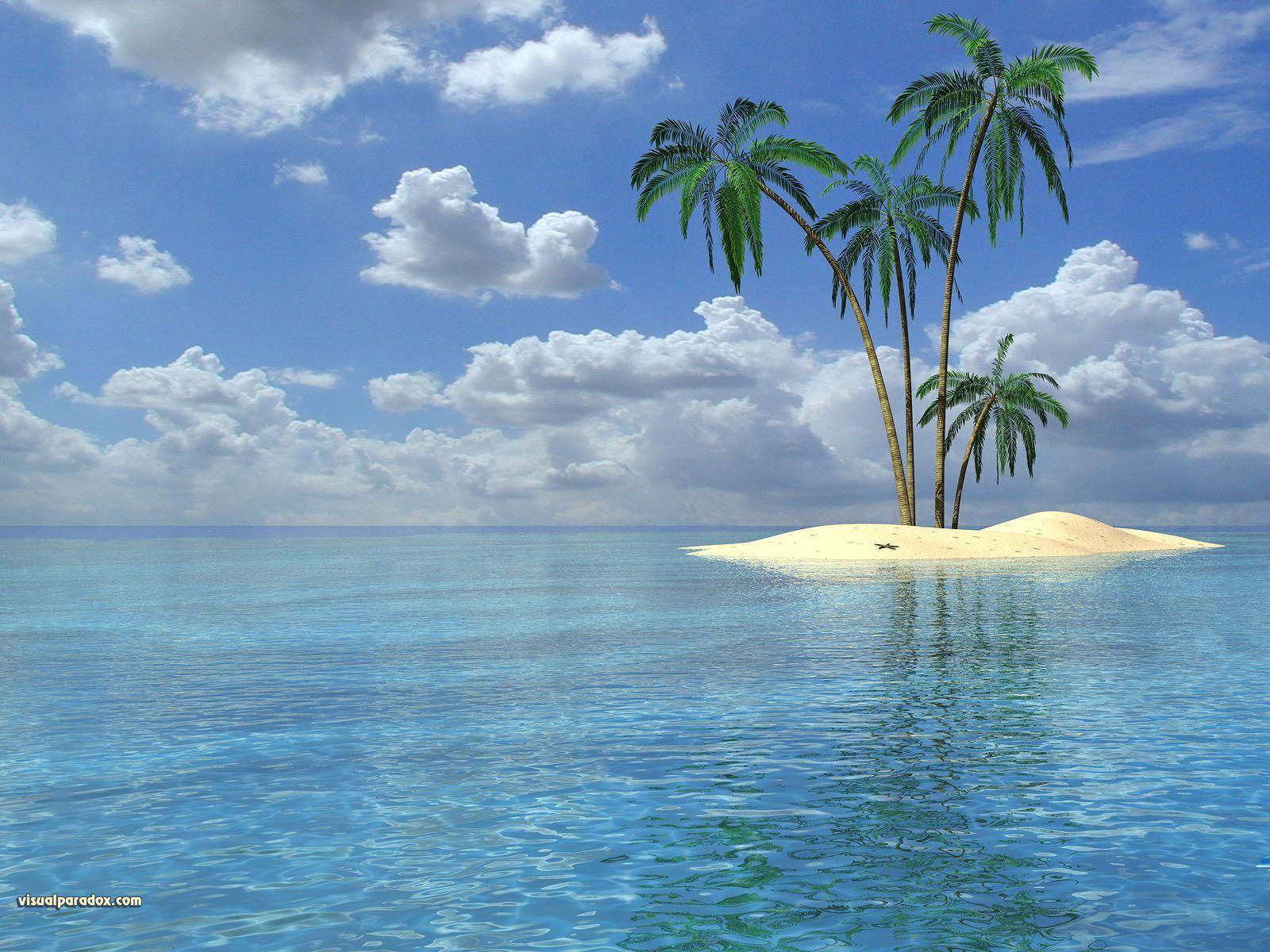 Palm Trees In The Middle Of Ocean Wallpapers