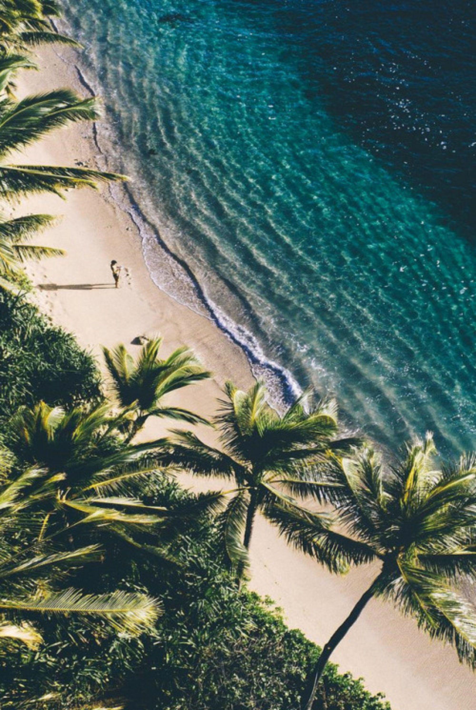 Palm Trees In The Middle Of Ocean Wallpapers