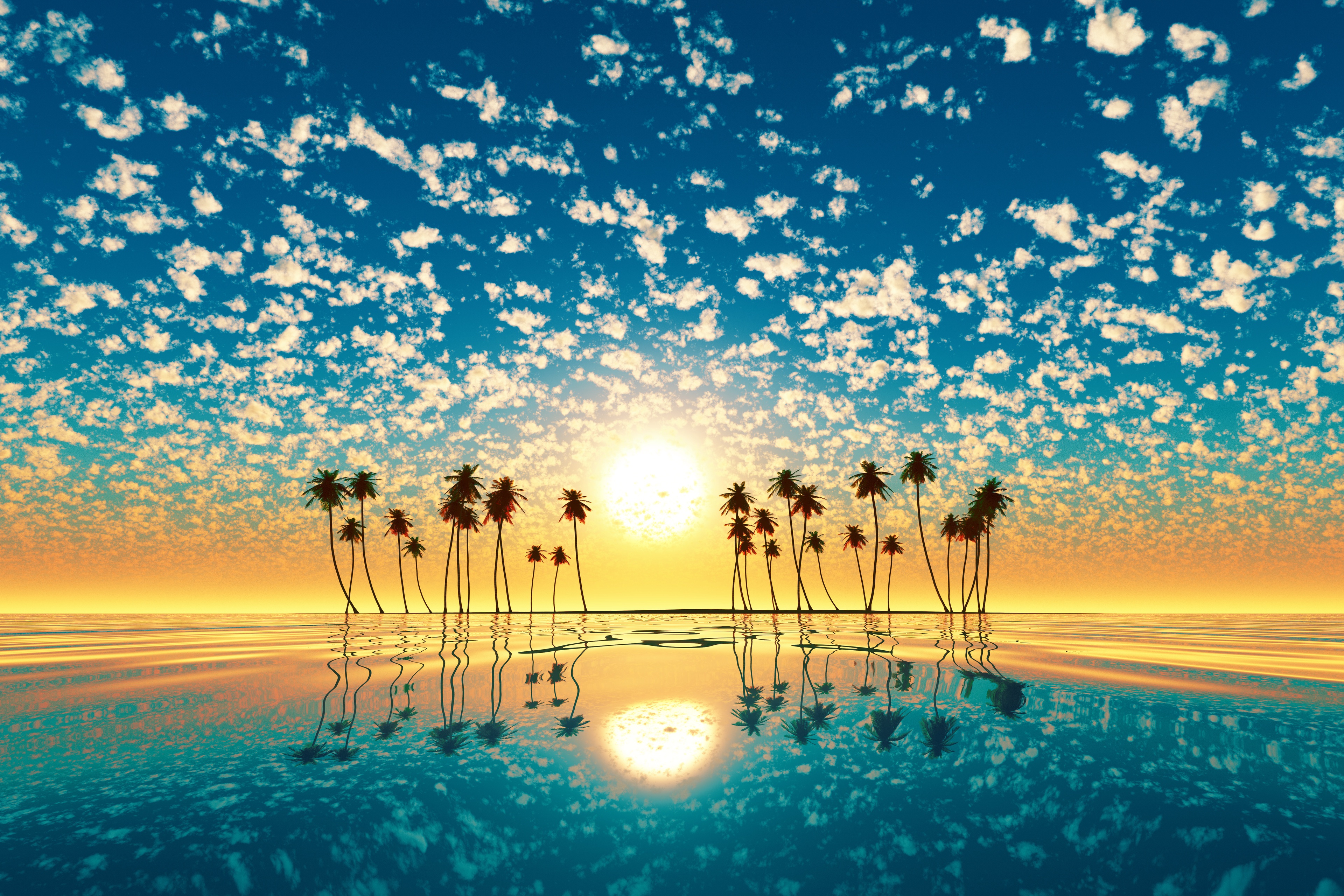 Palm Trees Reflection Sunset Wallpapers