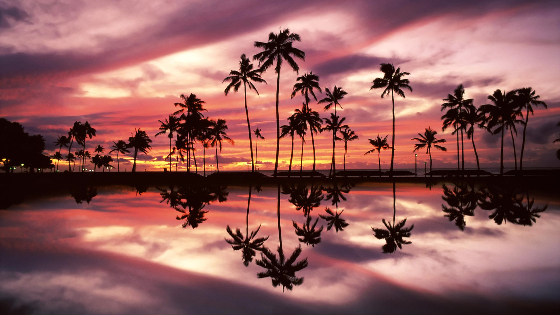 Palm Trees Reflection Sunset Wallpapers