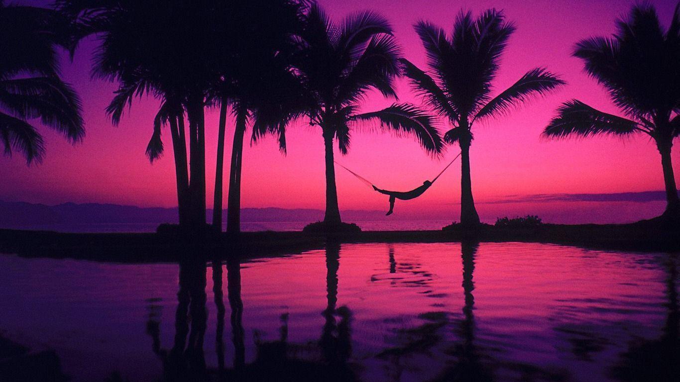 Palm Trees Reflection Sunset Wallpapers