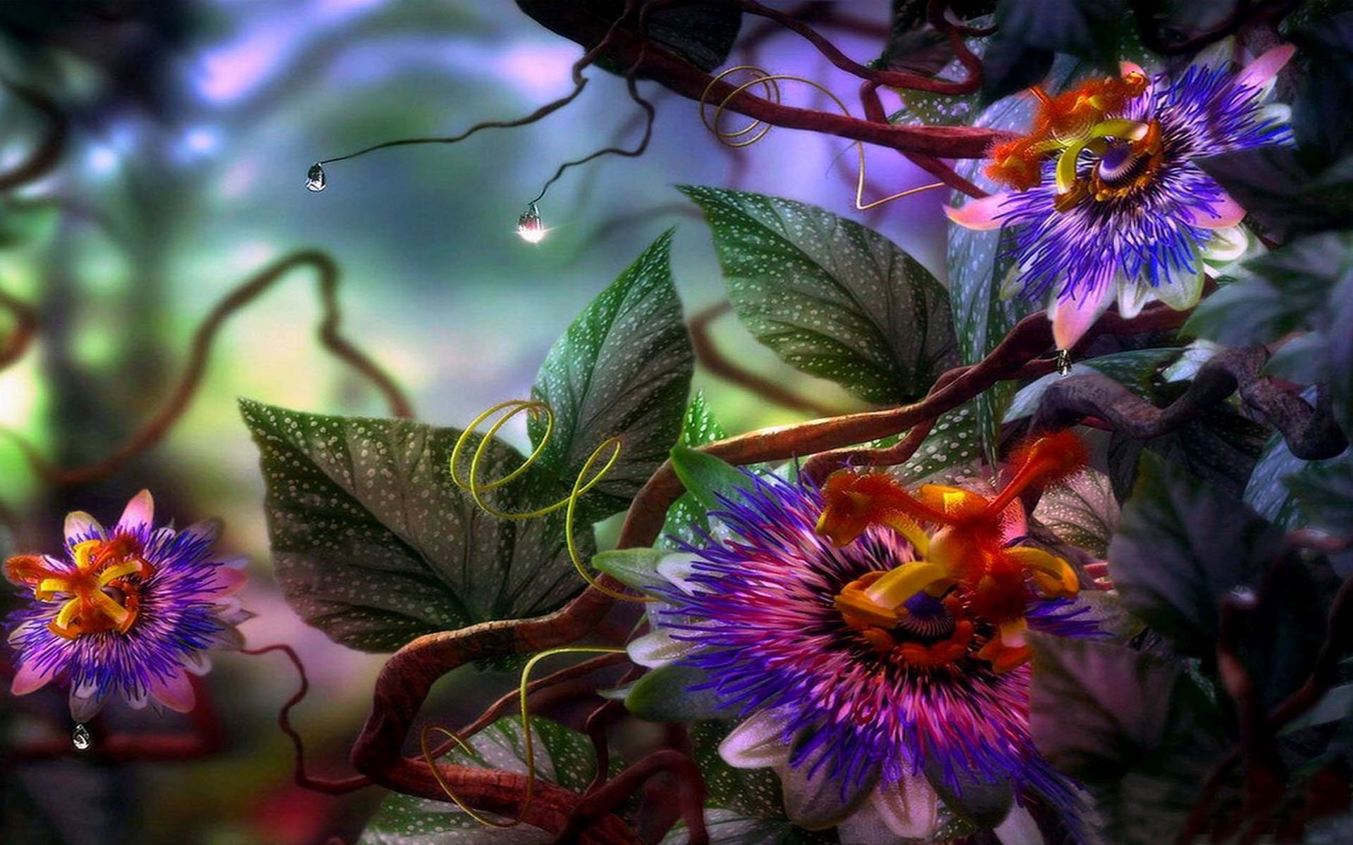 Passion Flower Wallpapers