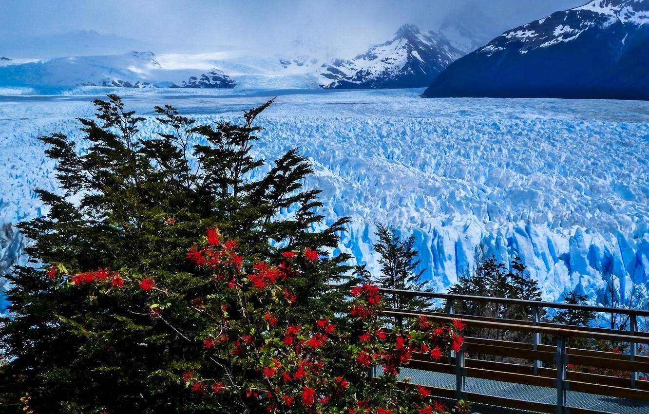 Perito Moreno Glacier Wallpapers