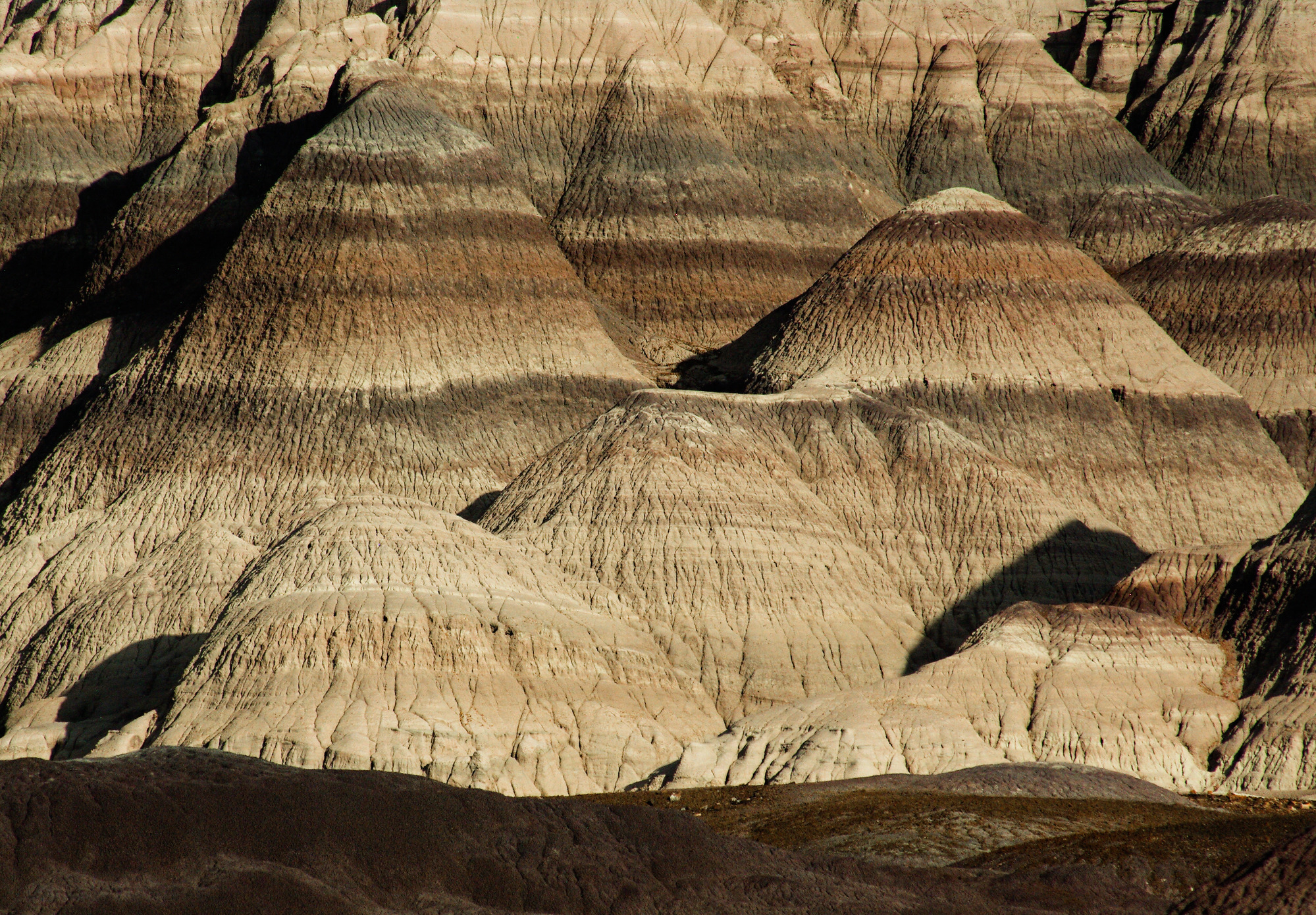 Petrified Forest National Park Wallpapers