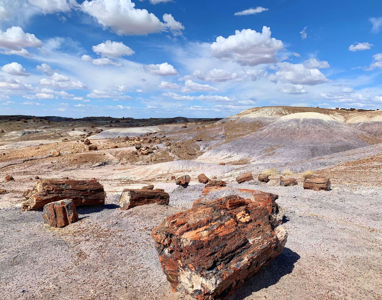 Petrified Forest National Park Wallpapers