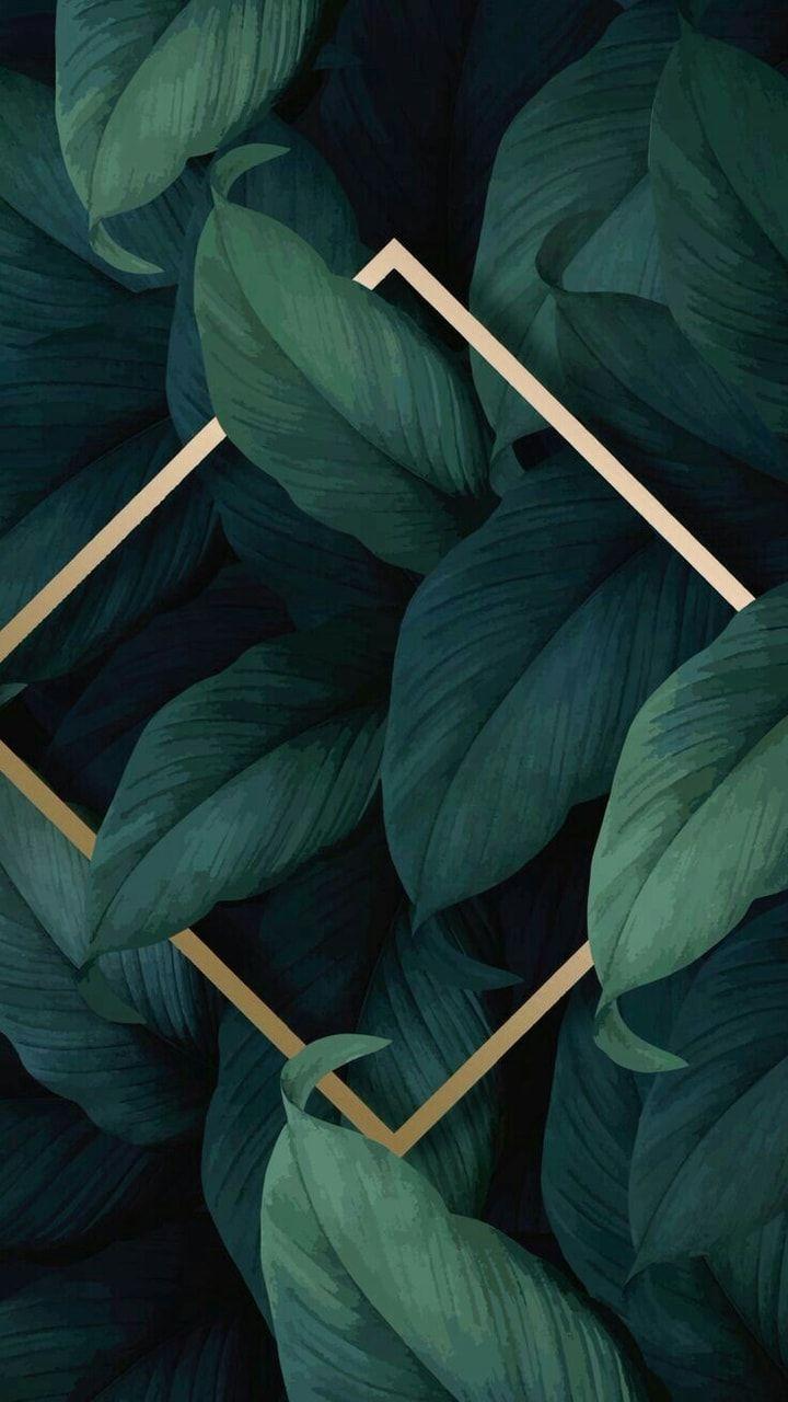 Plant Wallpapers