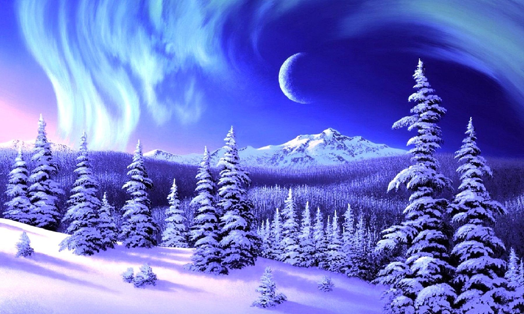 Purple Winter Forest Wallpapers
