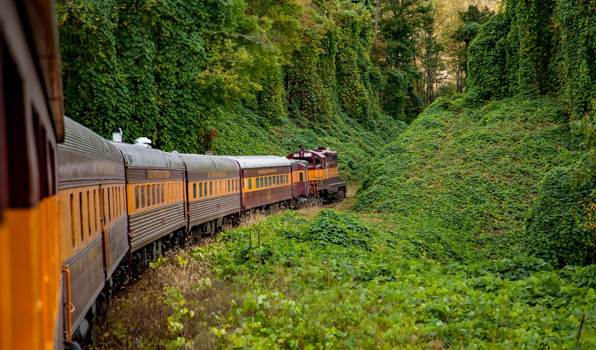 Railroad Forest Surrounding Wallpapers