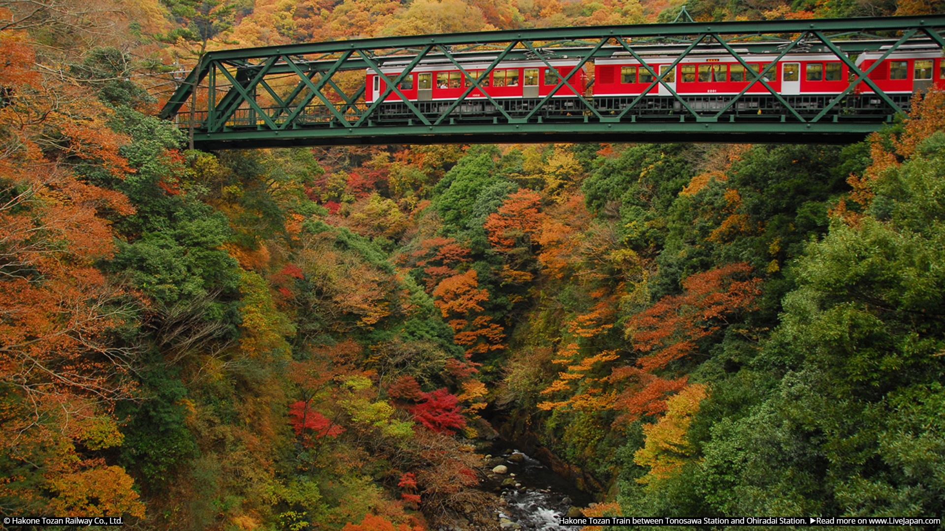 Railroad Forest Surrounding Wallpapers