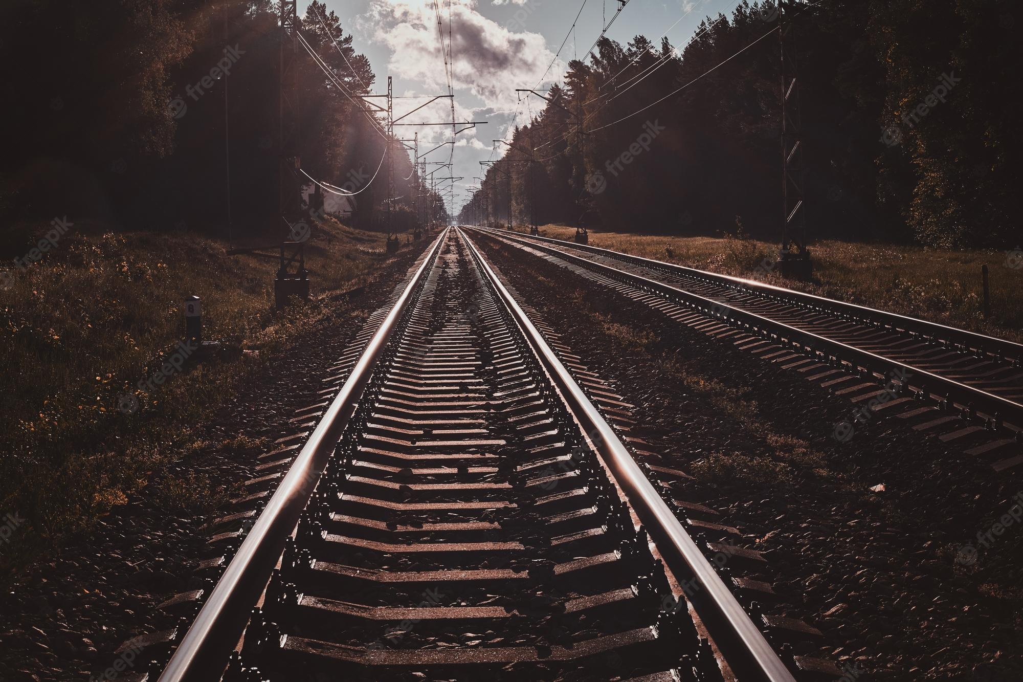 Railroad Forest Surrounding Wallpapers