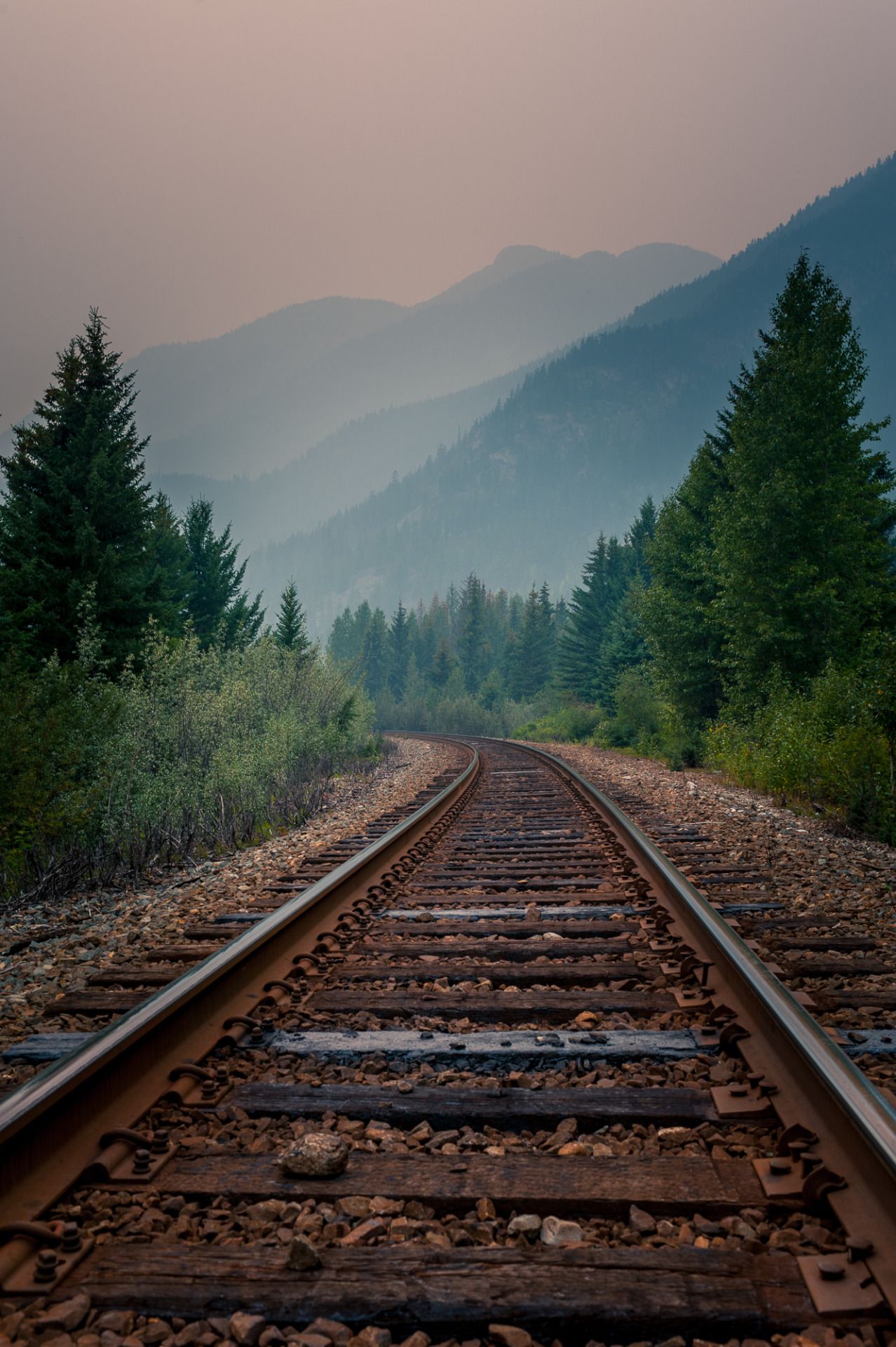 Railroad Forest Surrounding Wallpapers