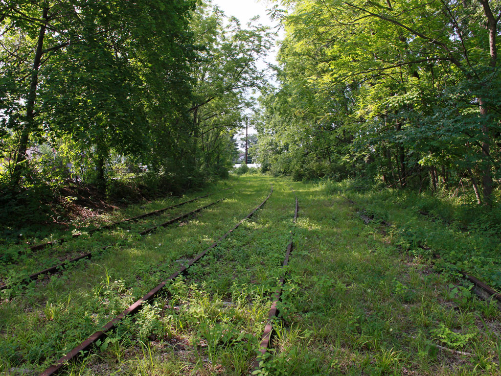 Railroad Forest Surrounding Wallpapers