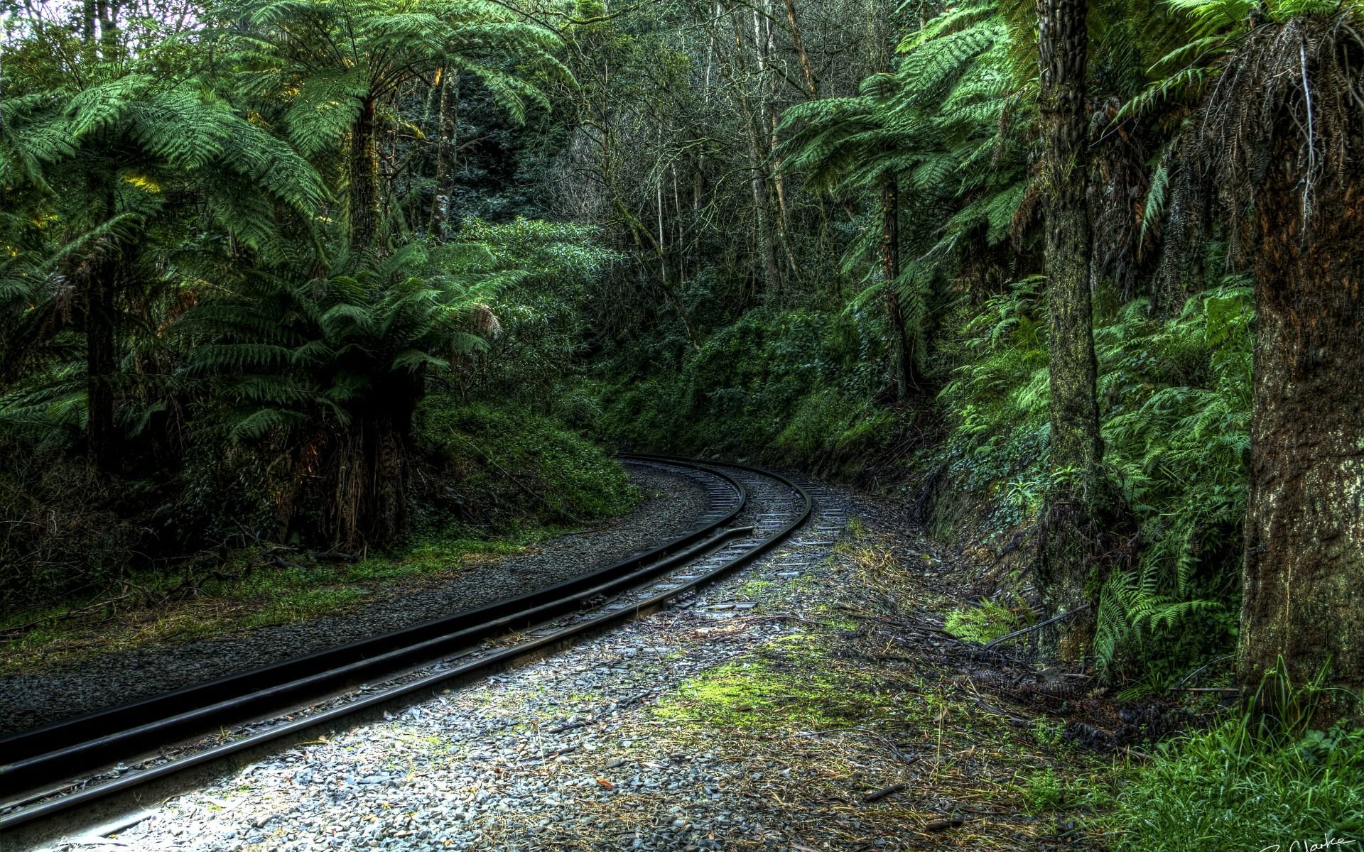 Railroad Forest Surrounding Wallpapers