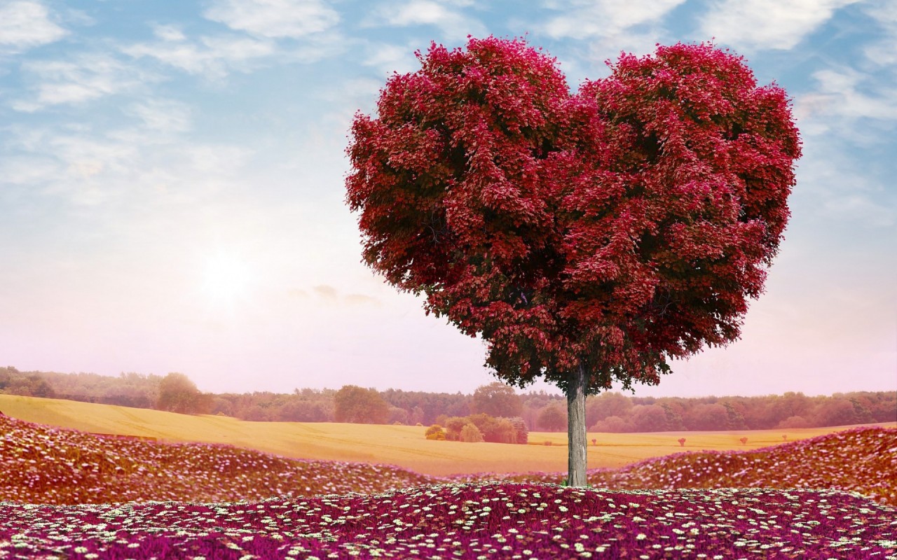 Red Heart Tree Wallpapers