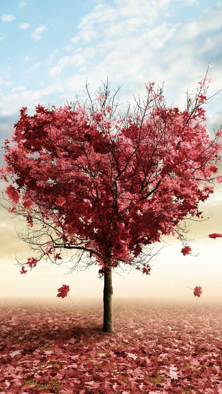 Red Heart Tree Wallpapers