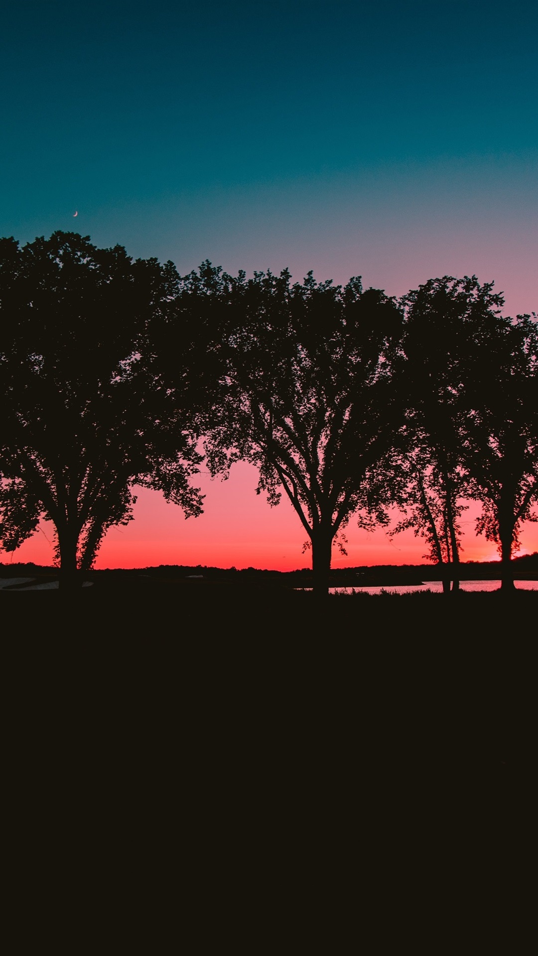 Red Sunset Skyline And Trees Wallpapers