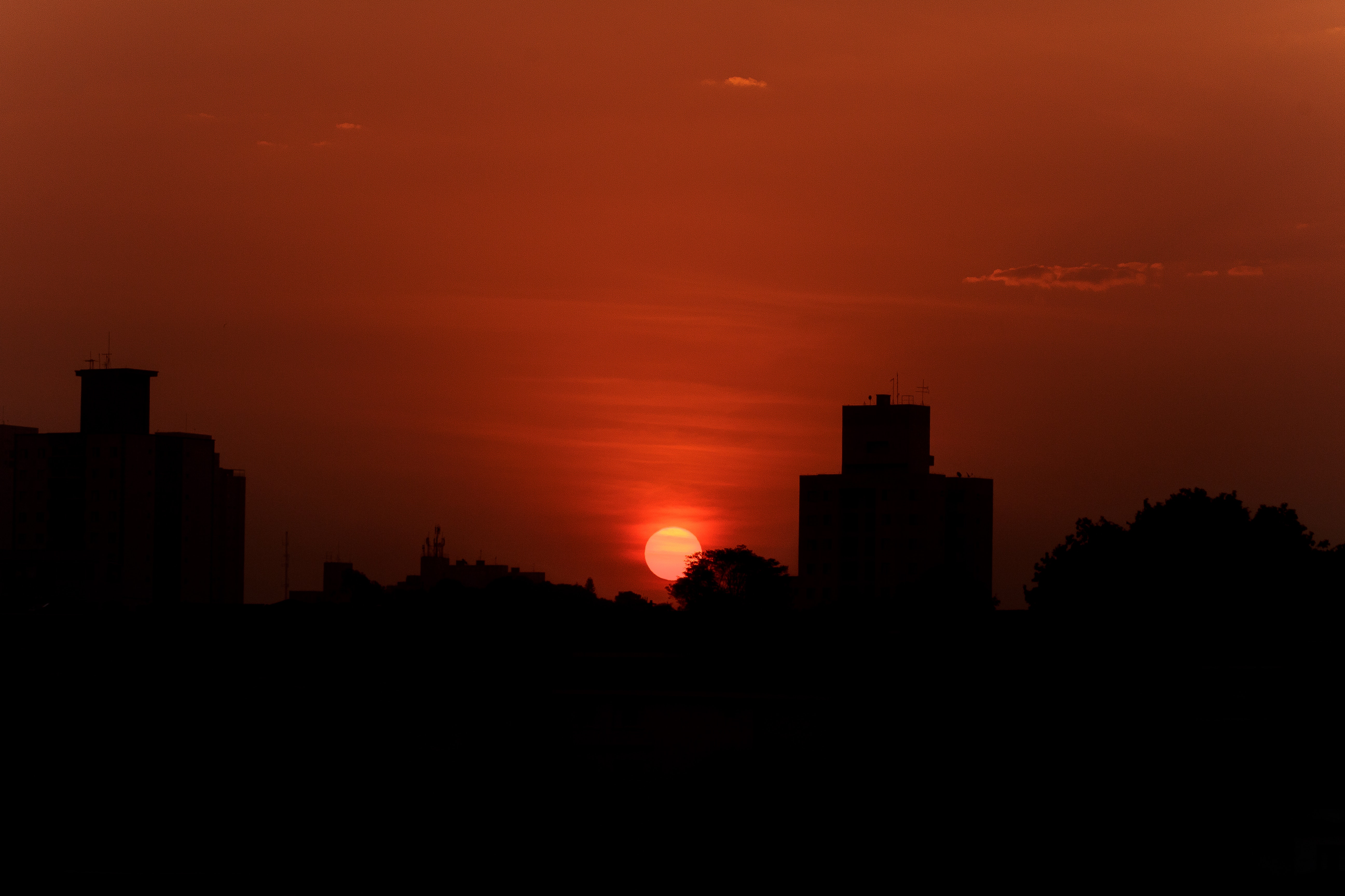 Red Sunset Skyline And Trees Wallpapers