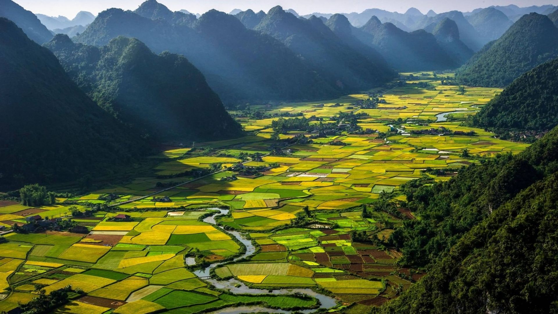 Rice Terrace Cool Wallpapers