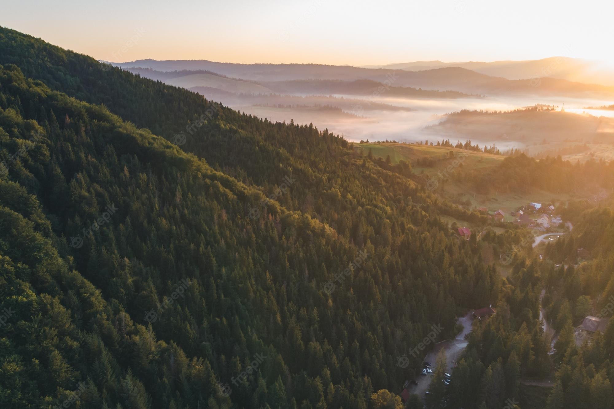 River And Forest Sunset Drone View Wallpapers