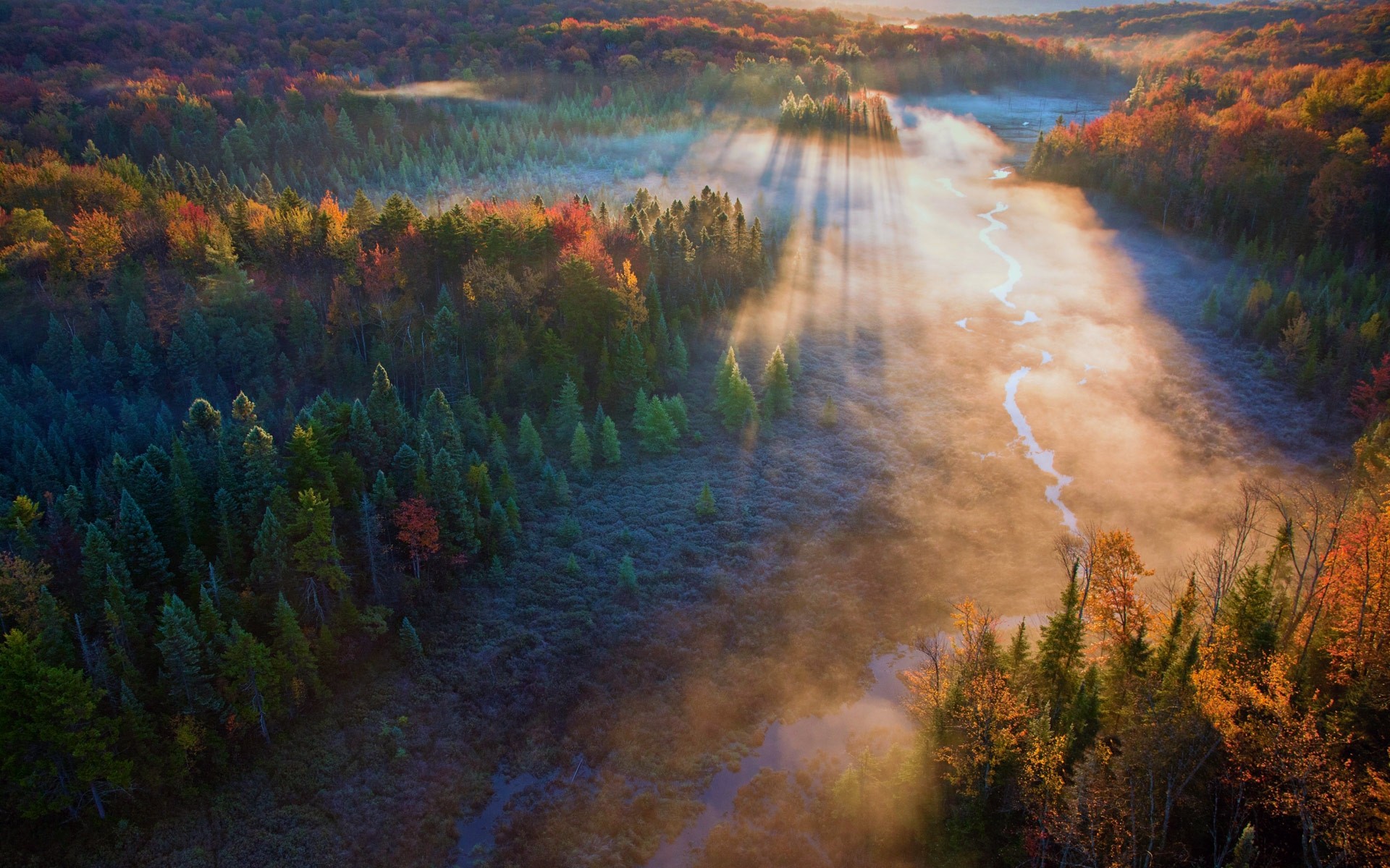 River And Forest Sunset Drone View Wallpapers