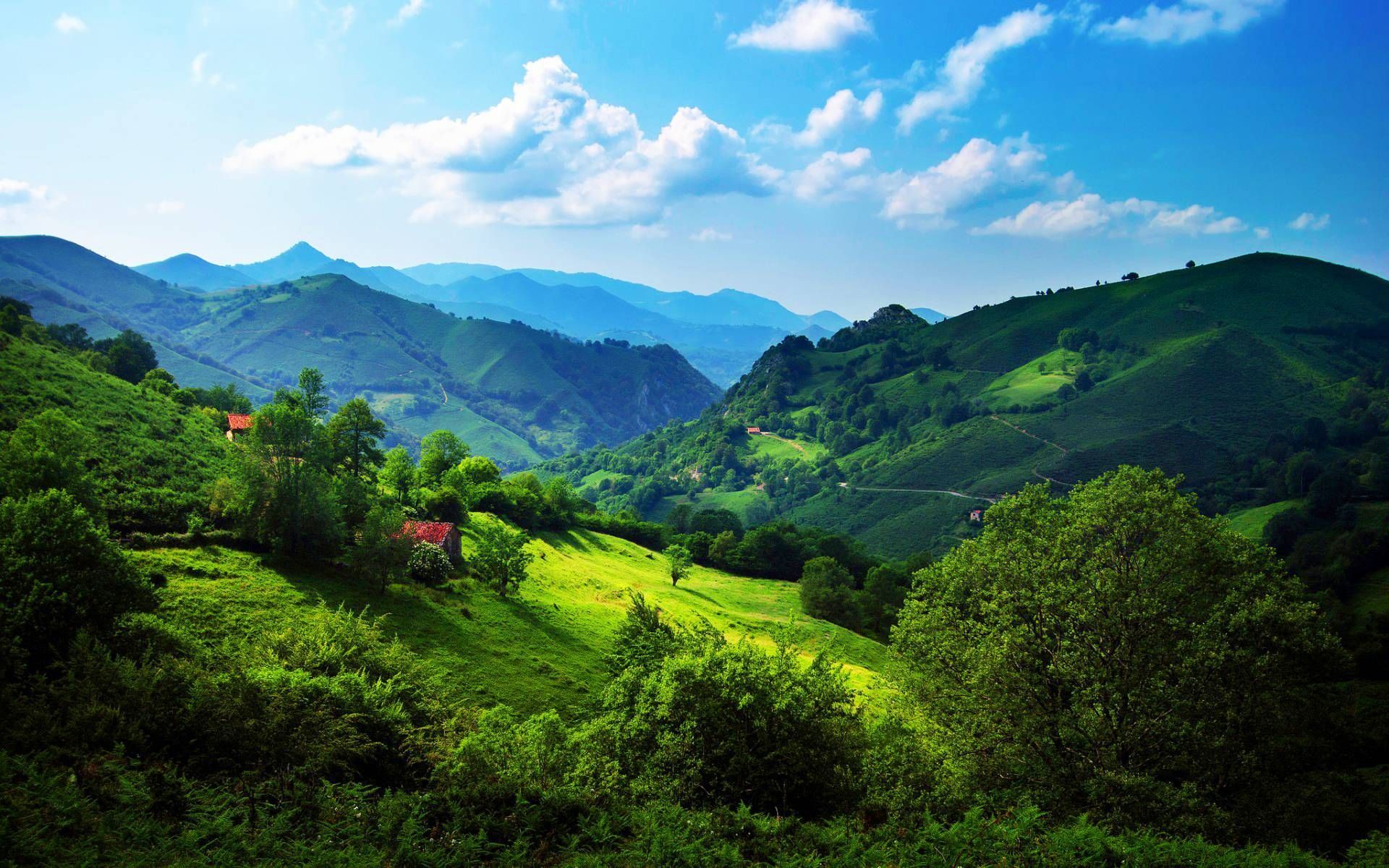 Rolling Green Hills Wallpapers