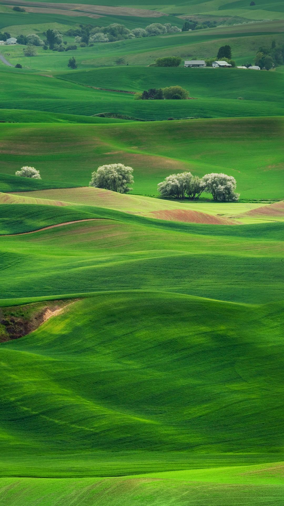 Rolling Green Hills Wallpapers