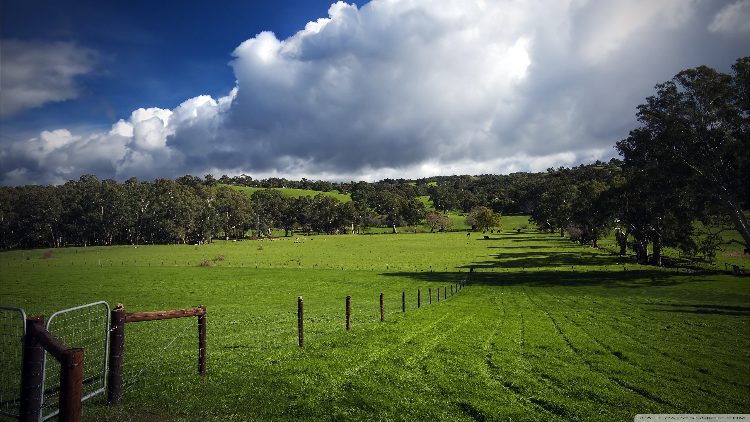 Rolling Green Hills Wallpapers