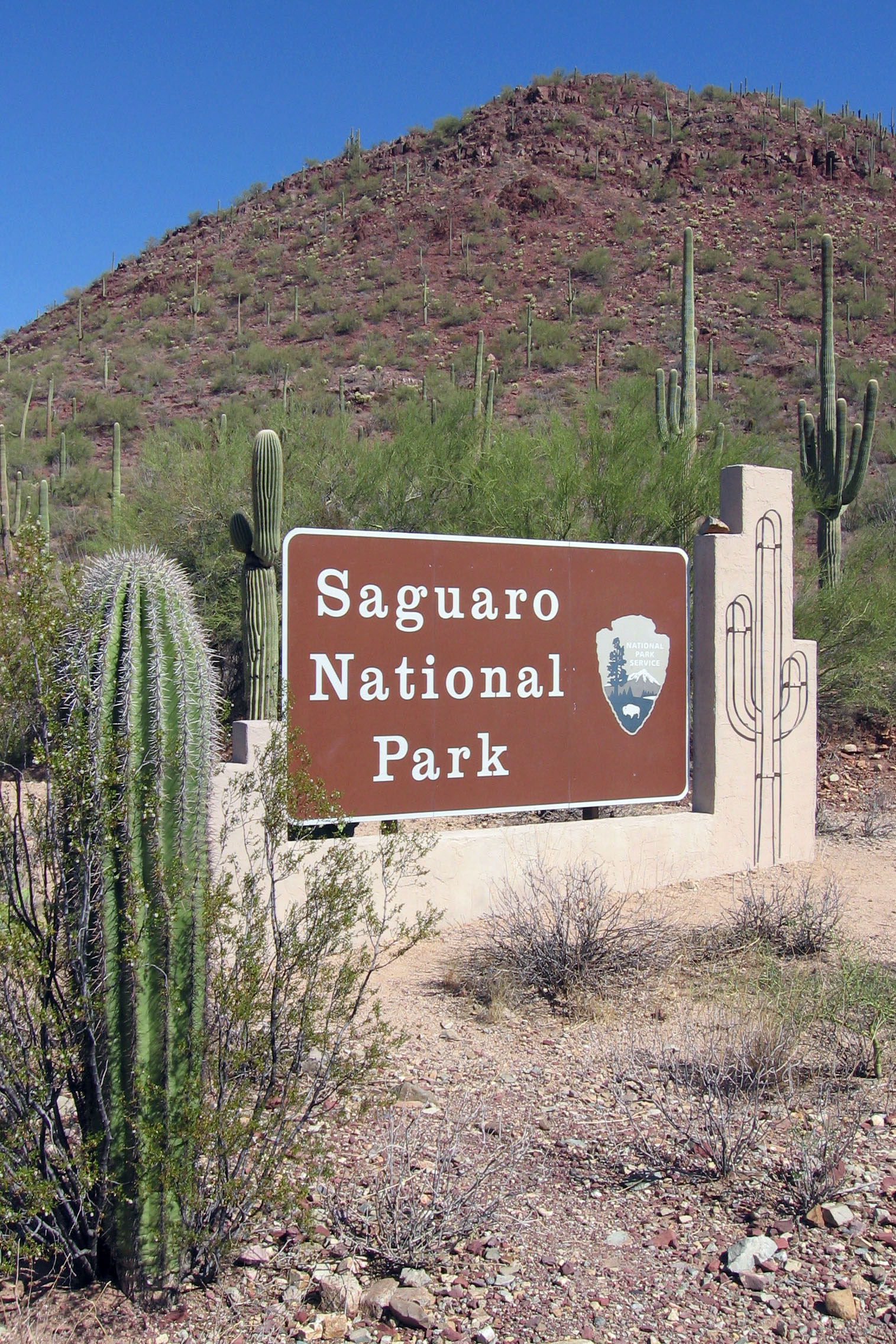 Saguaro National Park Wallpapers