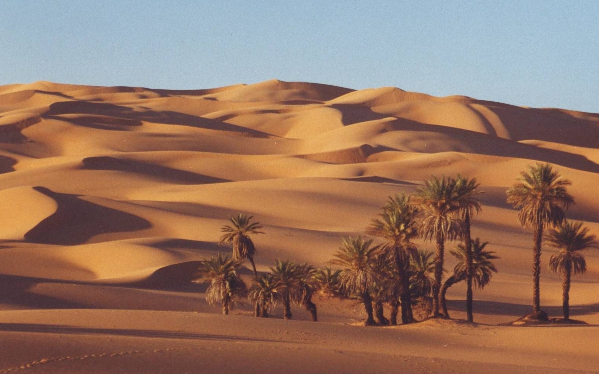 Sahara Wallpapers