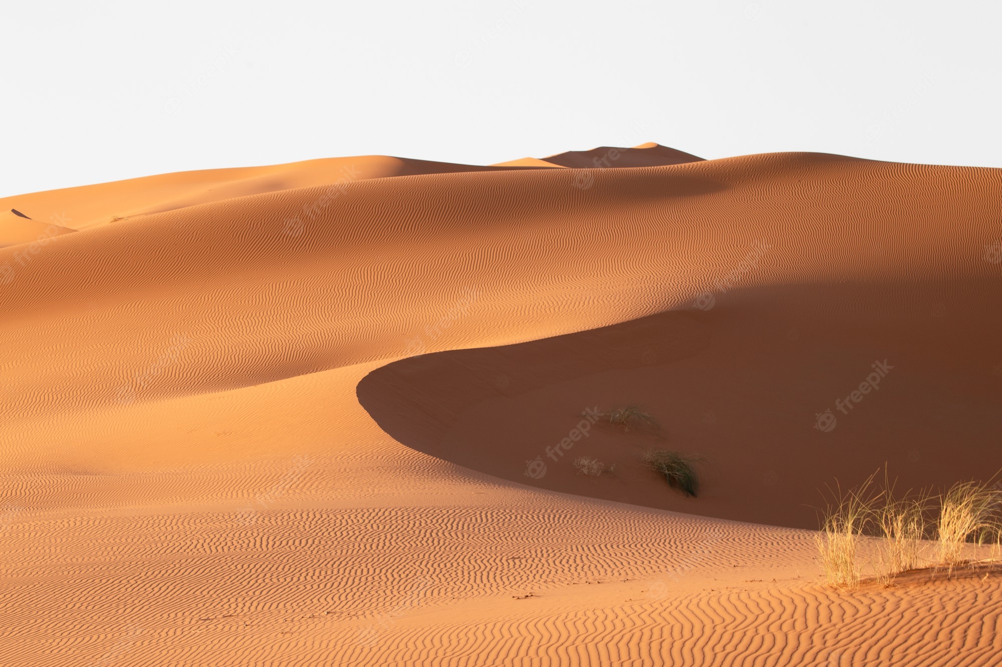 Sahara Desert In Scenery Night Wallpapers