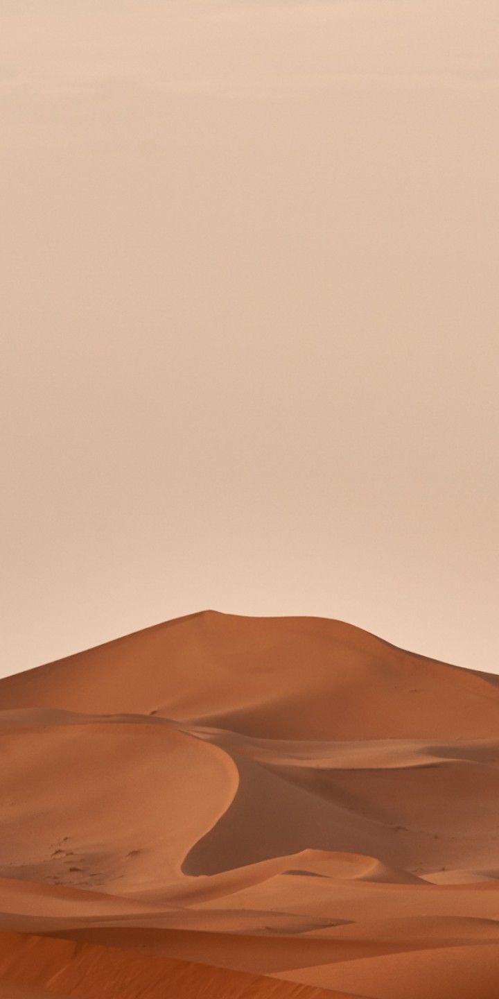 Sahara Desert In Summer Wallpapers