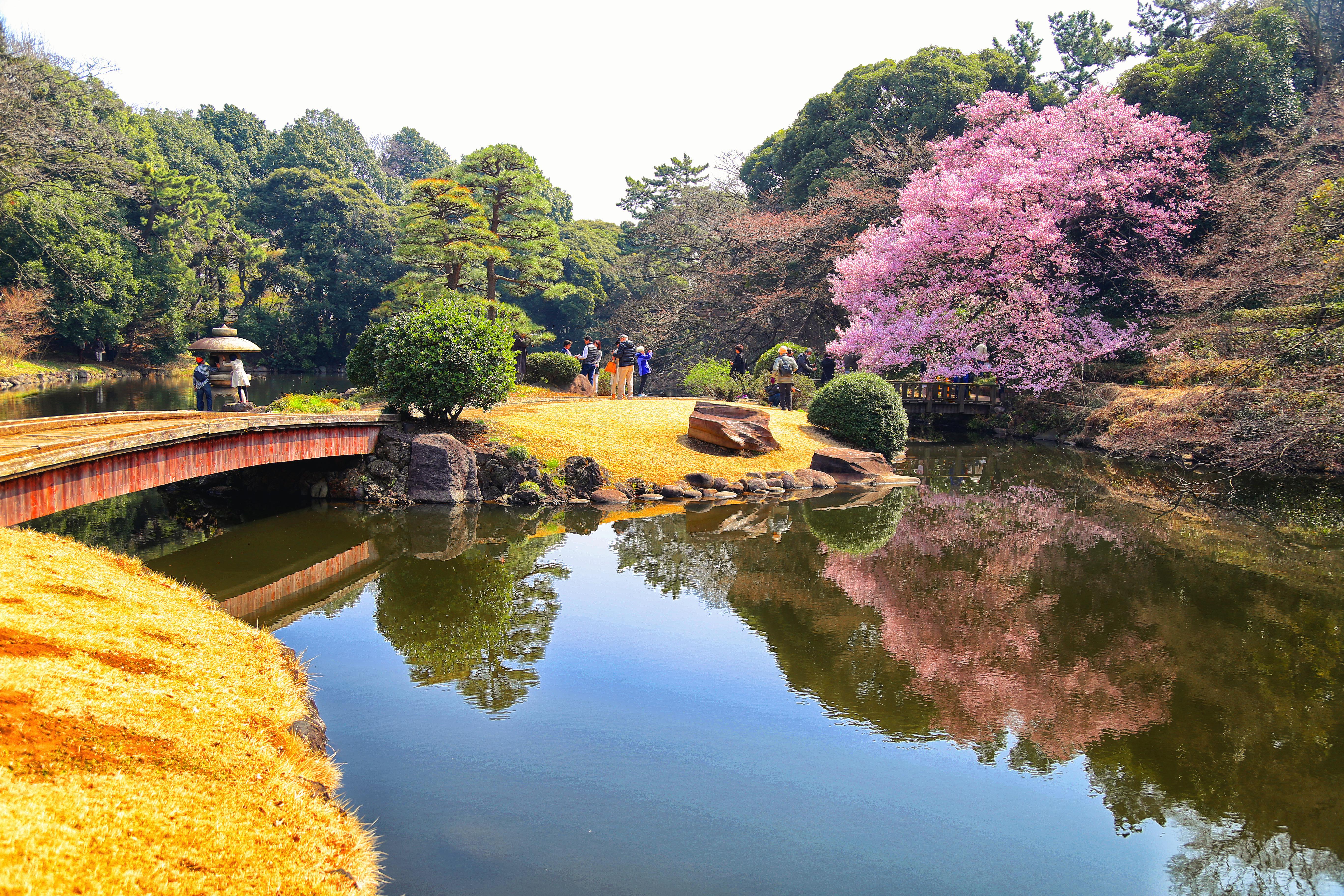 Shinjuku Gyoen Wallpapers