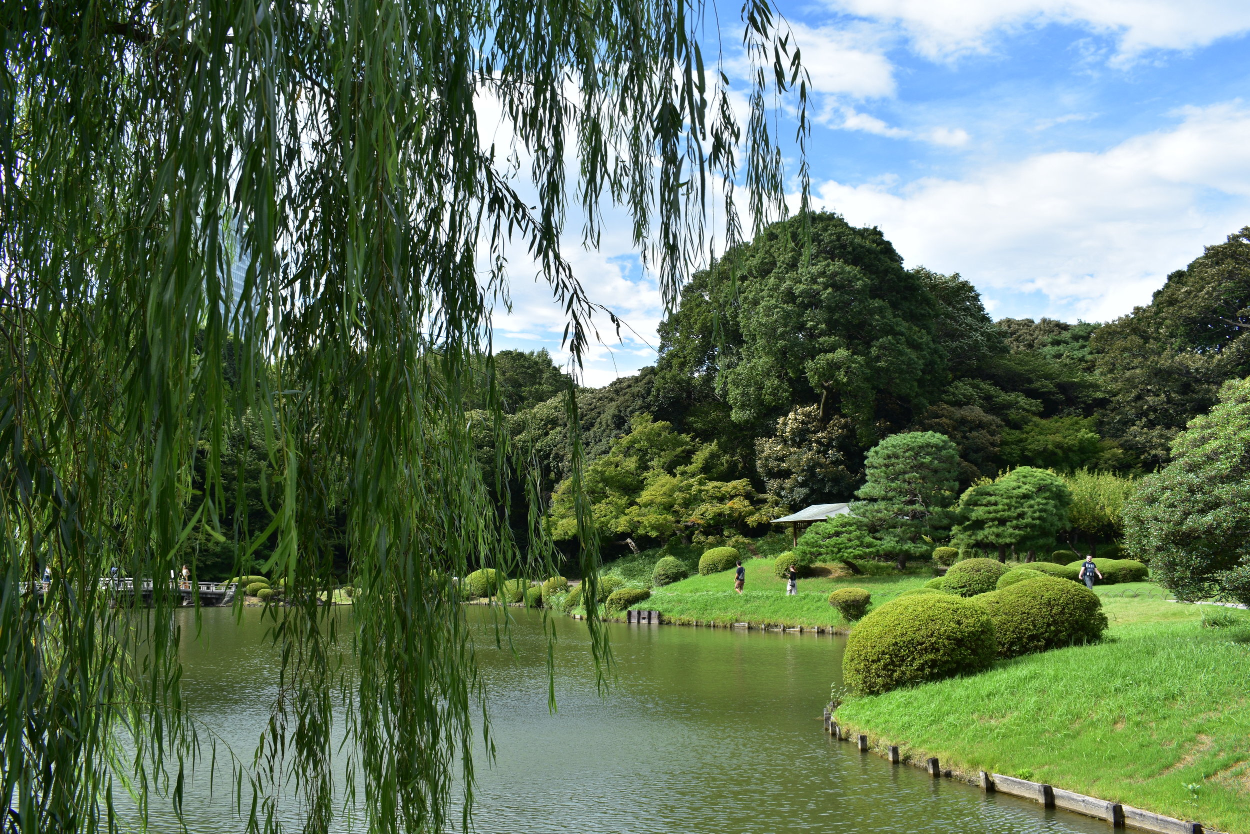 Shinjuku Gyoen Wallpapers