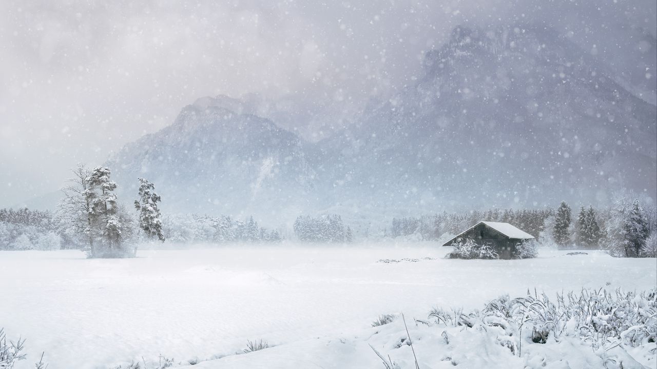 Single House In Fogy Winter Wallpapers