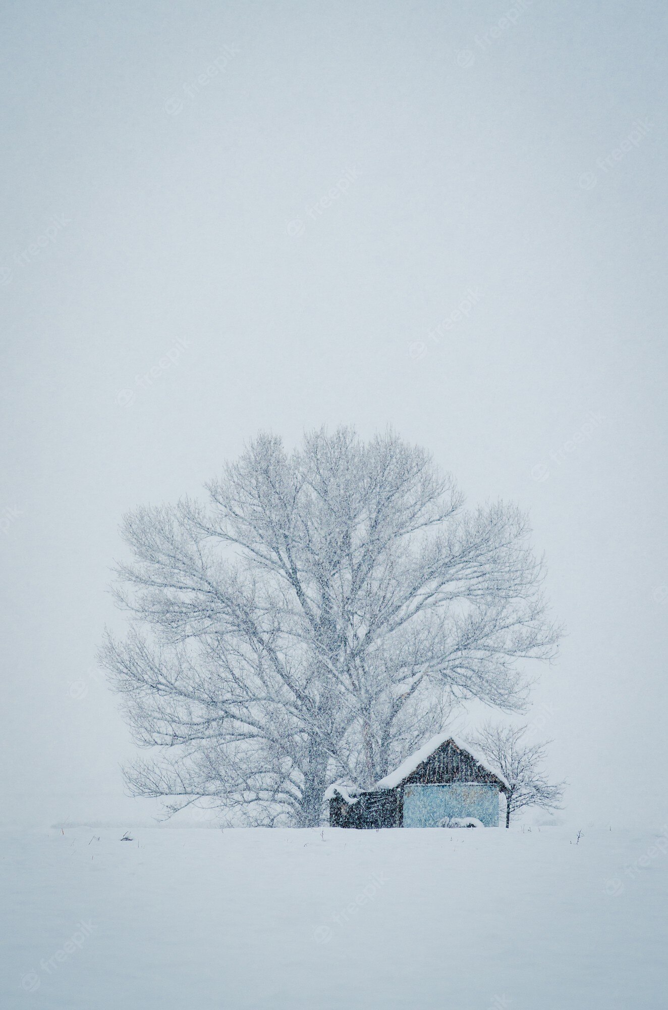 Single House In Fogy Winter Wallpapers