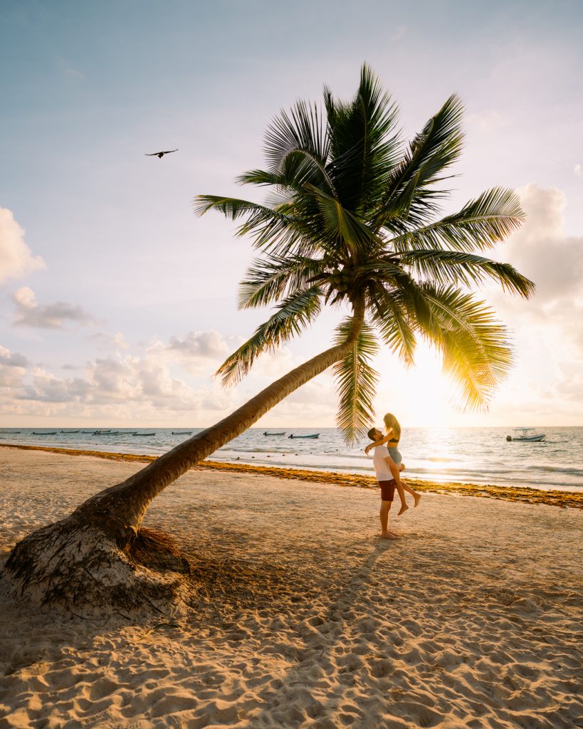 Slanting Tree Above Ocean At Sunset Wallpapers