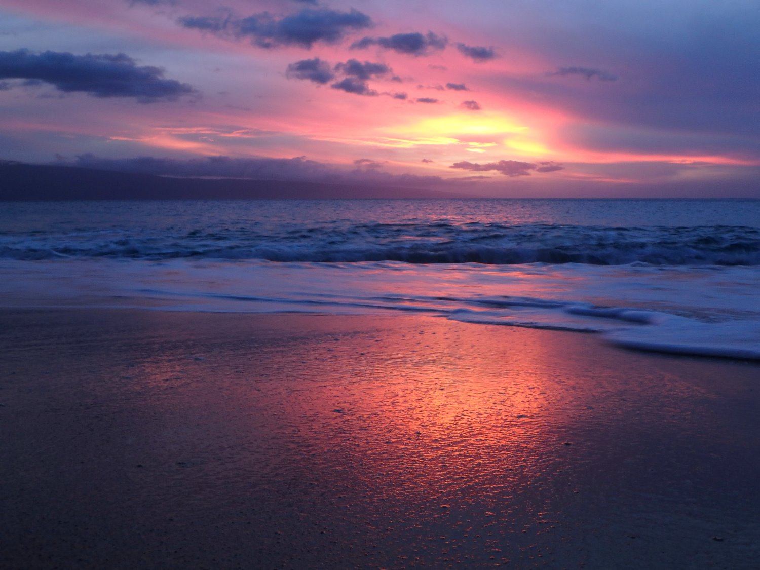 Slanting Tree Above Ocean At Sunset Wallpapers