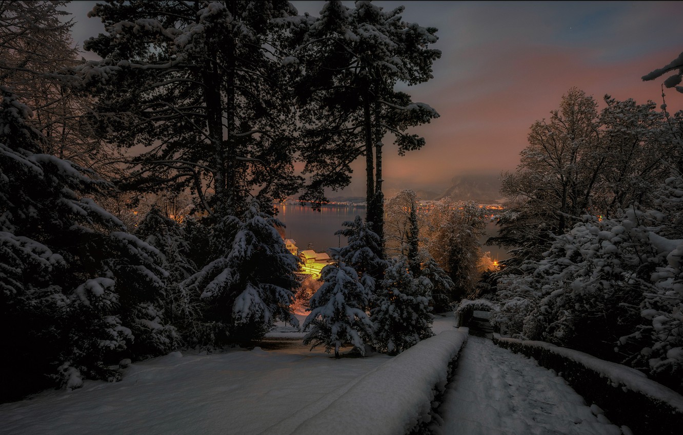 Snnow-Covered Fir Trees At Dusk In Twilight Moon Wallpapers