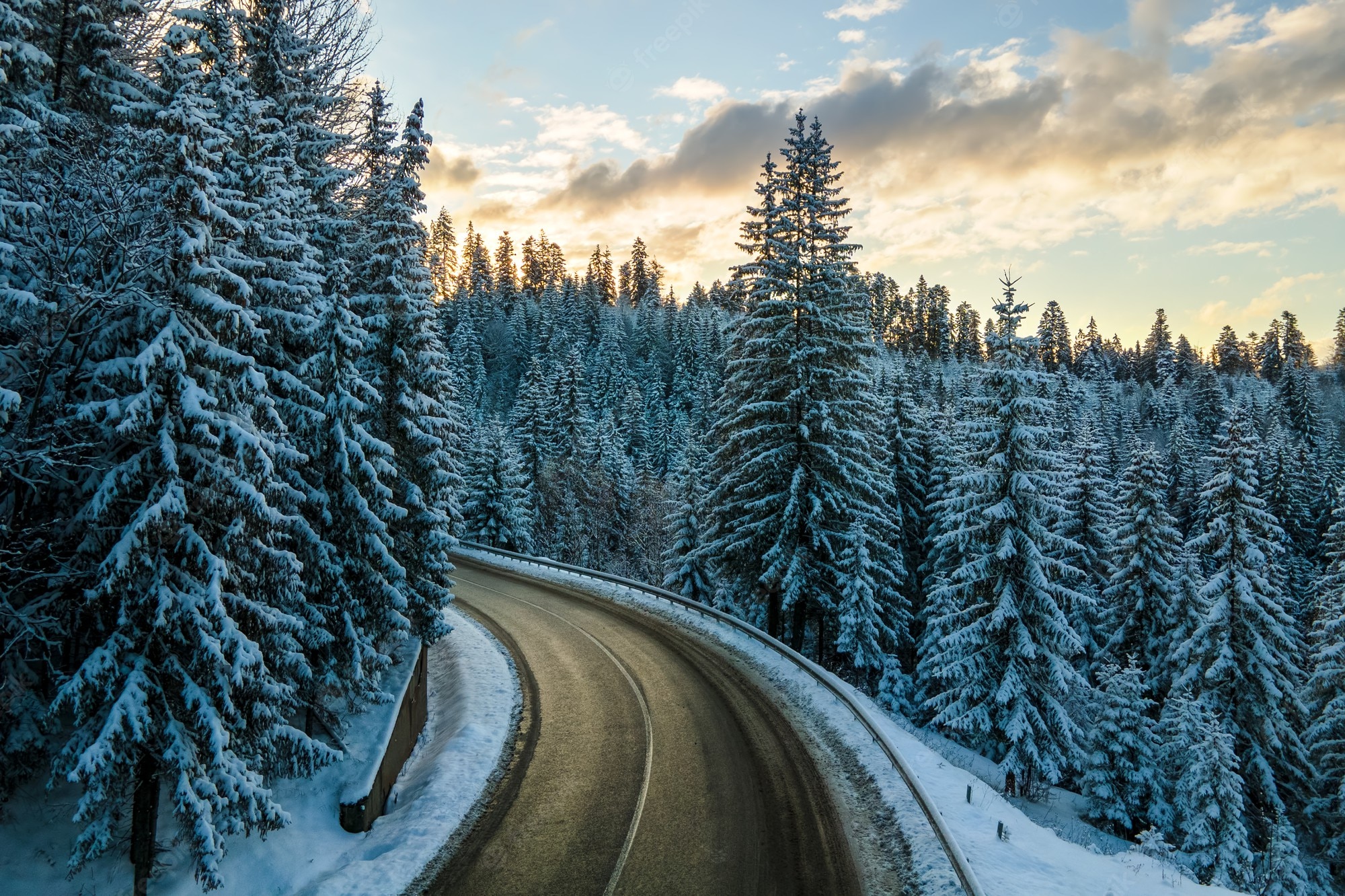 Snow Covered Forest Road Wallpapers