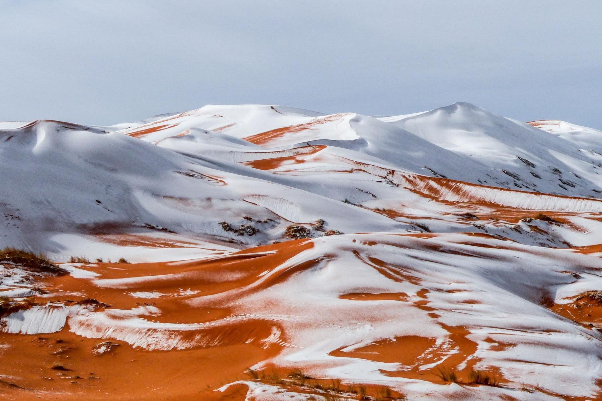 Snow On A Mountain Behind The Desert Wallpapers