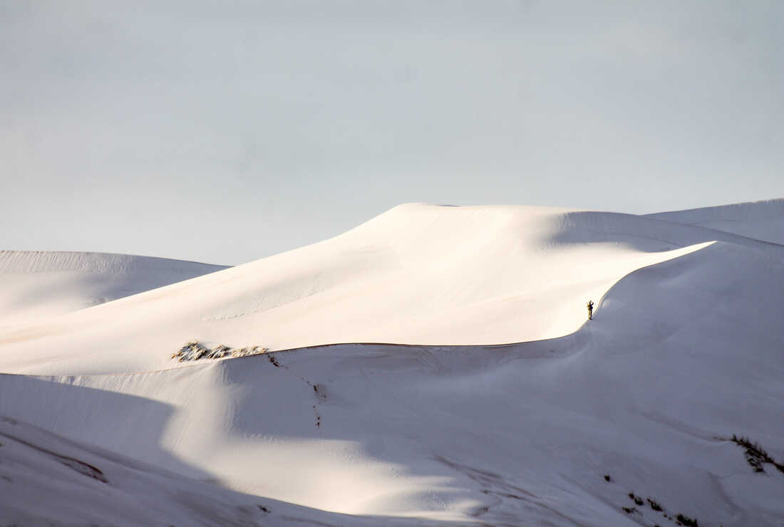 Snow On A Mountain Behind The Desert Wallpapers