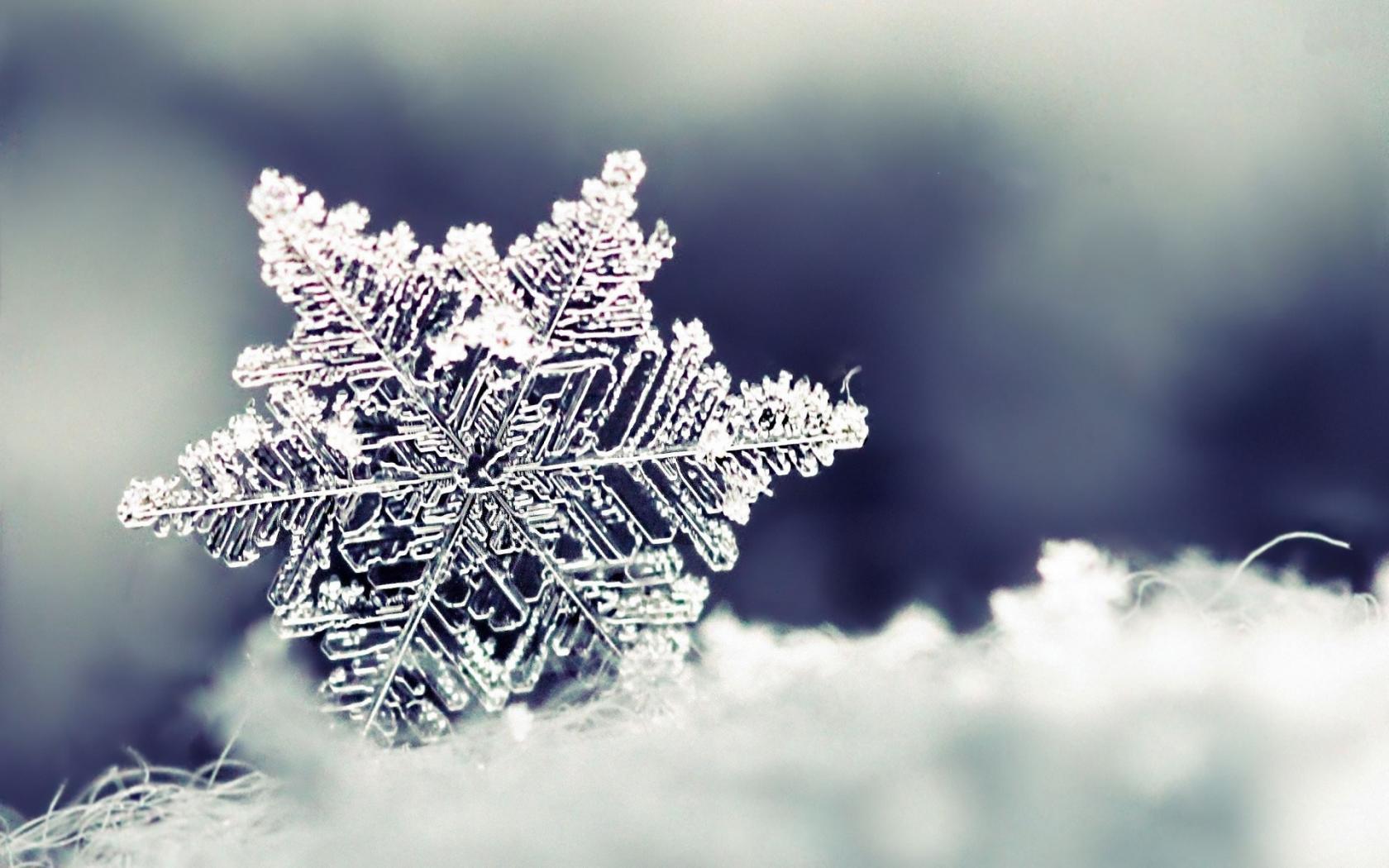 Snowflake Wallpapers