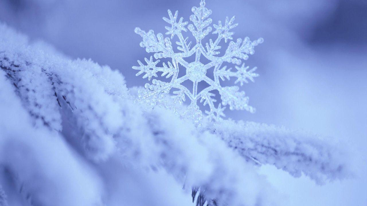 Snowflake Wallpapers