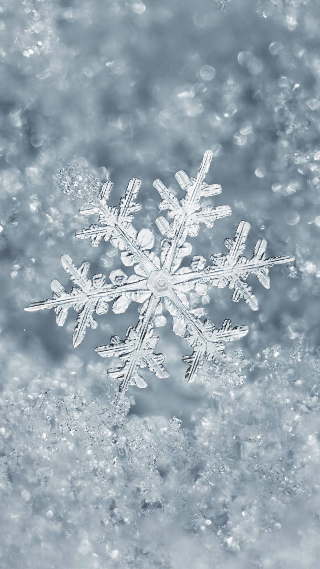 Snowflake Wallpapers