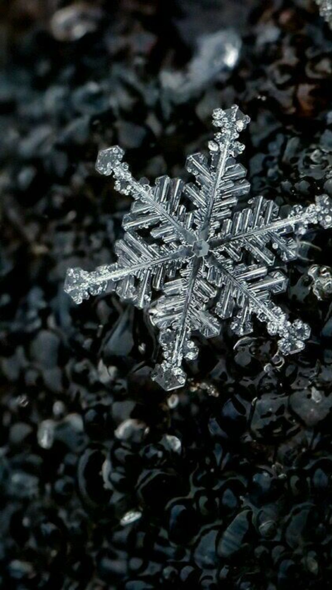 Snowflake Wallpapers