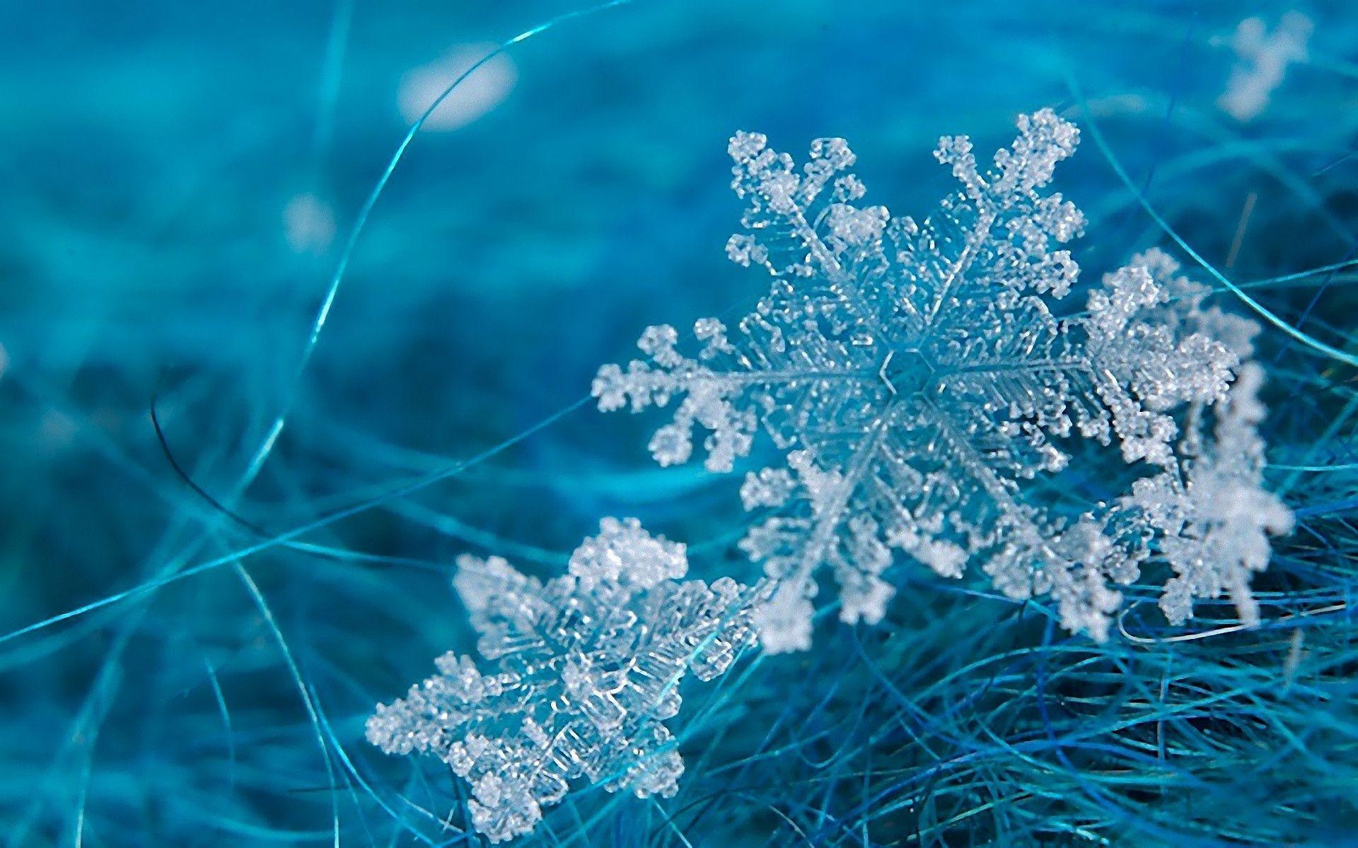 Snowflake Wallpapers