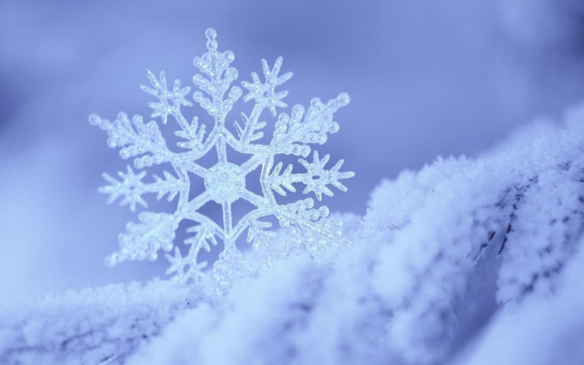 Snowflake Wallpapers